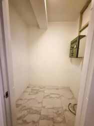 The Cairnhill (D9), Condominium #624603261